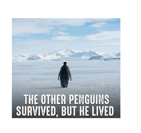 Erkek Survivor Penguin Baskılı  İplik Pamuklu Kapüşonlu Sweatshirt Hoodie Beyaz