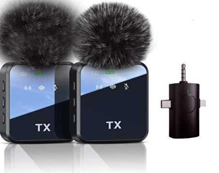 ZR983 F11-2 Kablosuz Çiftli Çok Girişli Mikrofon