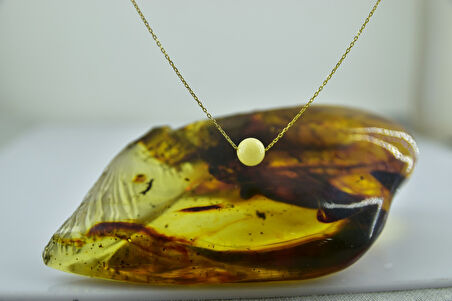 papatya silver 925 ayar orjinal kehribar kolye