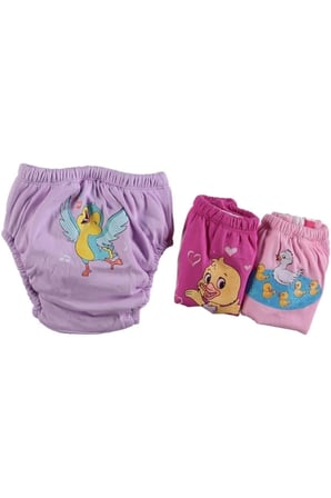 Ördek Serisi 3 Adet Kız Bebek Alıştırma Külodu 2 Numara ( 15 - 20 Kg ) 3 Adet
