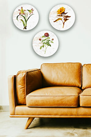 Çiçek Tablo Seti, 3'lü Dekoratif Vintage Süs, Oturma Odası, Yatak Odası, Salon, Ofis Duvar Dekoru