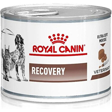 Royal Canin Recovery Pate Yoğun Bakım Maması 195 Gr