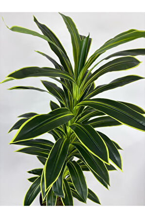 160cm YAPAY YUKA AĞACI