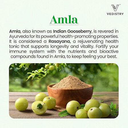 Vedistry Amla+ 1100mg Tablets with Amla & Long Pepper | Immune Support, Vitality & Wellness Booster | Natural Vitamin C, Antioxidants for Immunity