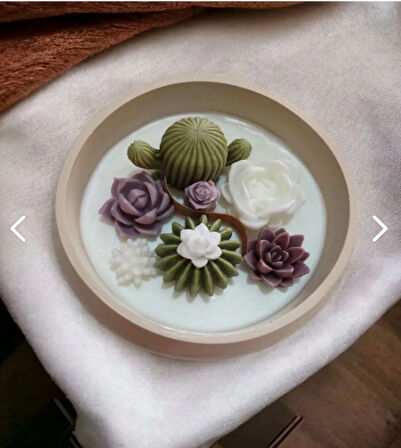  Beton Saksıda Kaktüs Seti 7’li Dekoratif Sukulent Kokulu %100 Soya Wax Mum