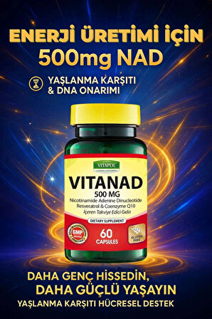 Vitapol Nad Resveratrol Koenzim Q10 Içeren Takviye Edici Gıda Nadh - Vıtanad 500 Mg 60 Kapsül