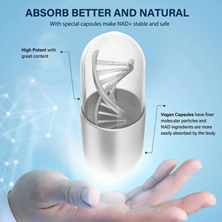 VIVALIFER Liposomal NAD+ 500mg with Trimethylglycine TMG 250 mg Anti Aging Repair Brain 120 Caps