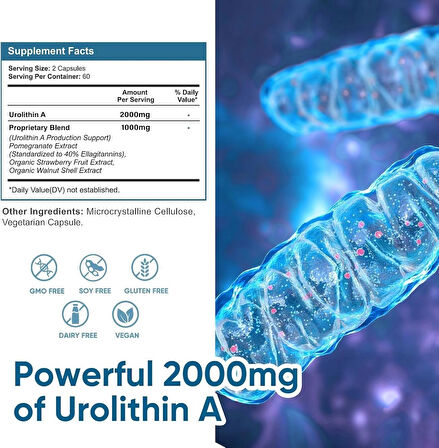 VIVALIFER Urolithin A 2000 MG Antioxidant Promoting Healthy Aging  Mitochondrial Health Repair 120 Softgels