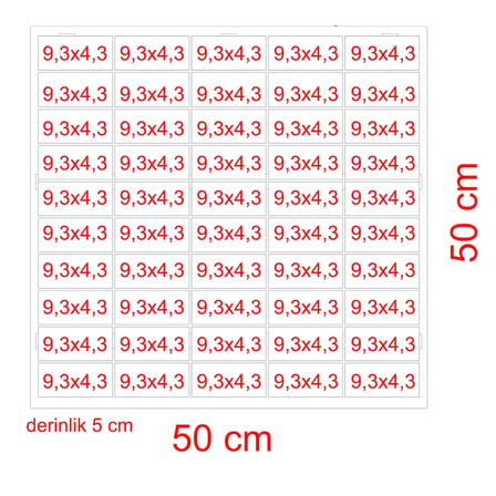 Eğimli Akçaağaç Hobi Araba Rafı (50 Araçlık )