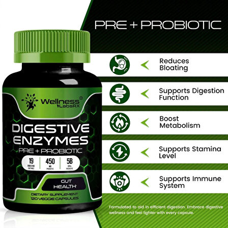 Wellnees Labs Digestive Enzymes Pre+Probiotic 5B CFUs Pro – 120 capsules