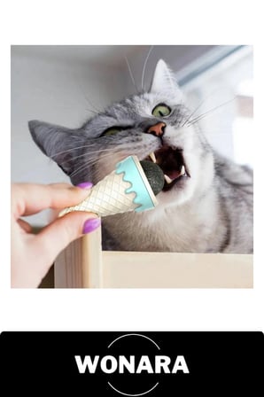 #KediNanesi Dondurma Şeklinde Catnip Topu Kedi Otu Çift Taraflı Bantlı Duvara Pencereye Yapışan Yavru Kedilere Uygun Sakinleştirici İştah Açıcı Evcil Hayvan Etkileşimli Oyuncağı Pp Malzemeli