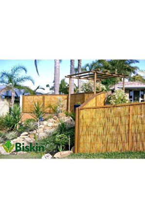 75CM Yükseklik X 500CM Genişlik Bambu Kamış Hasır Çit Dekoratif Bahçe Balkon ve Duvar Çiti .