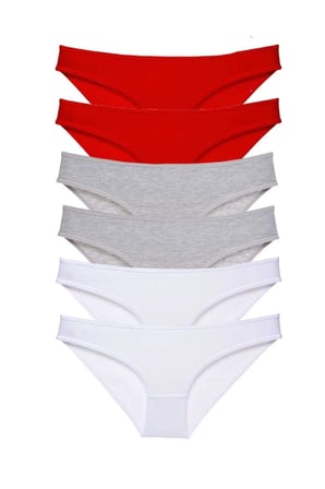 6 adet Süper Eko Set Likralı Kadın Slip Külot 548
