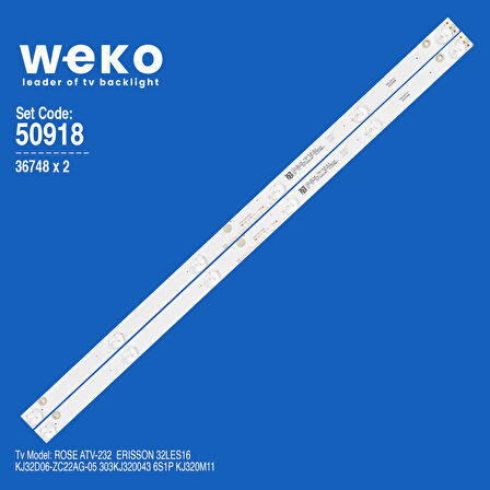 5918 36748X2 KJ32D06-ZC22AG-05 303KJ320043 2 ADET LED BAR 6V