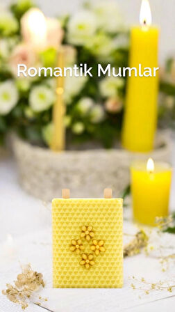 Troya Yassı Balmumu Tek Büyük