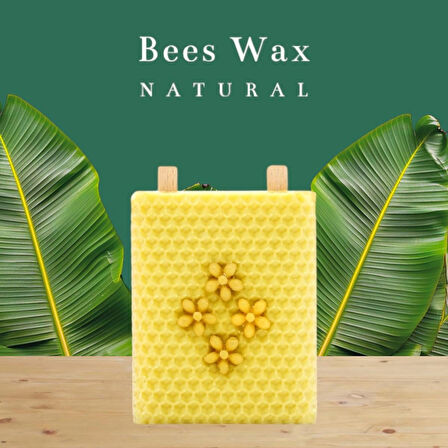 Troya Yassı Balmumu Tek Büyük