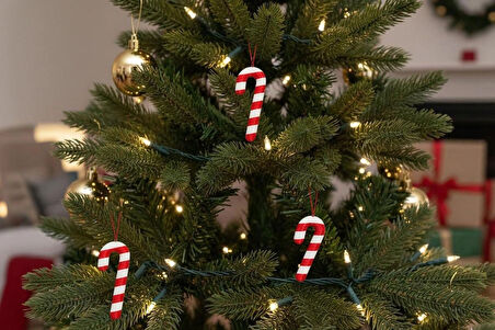 Baston şeker yılbaşı ağaç süsü 6 lı