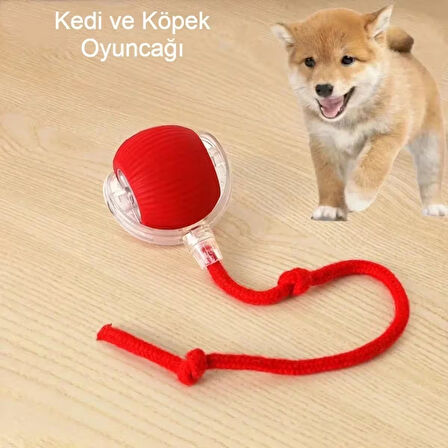 Akıllı Kendiliğinden Dönen Kedi Oyuncağı 360° Şarjlı Hareket Kuş Sesleriyle Eğlence ve Egzersiz