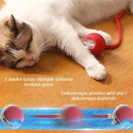 Akıllı Kendiliğinden Dönen Kedi Oyuncağı 360° Şarjlı Hareket Kuş Sesleriyle Eğlence ve Egzersiz