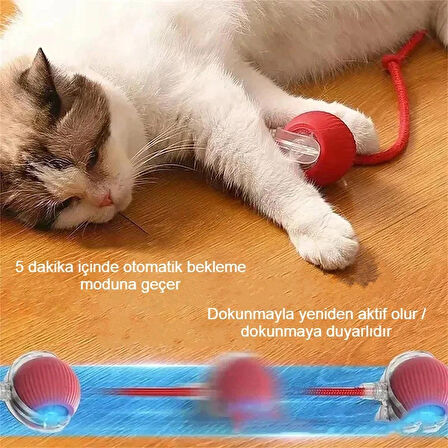 Akıllı Kendiliğinden Dönen Kedi Oyuncağı 360° Şarjlı Hareket Kuş Sesleriyle Eğlence ve Egzersiz