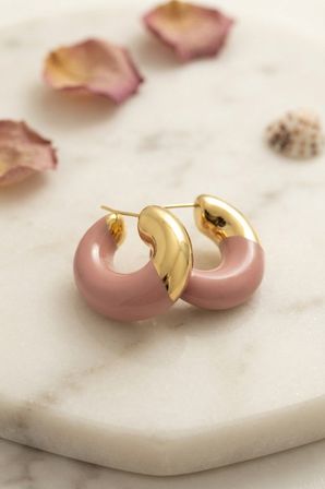 hediyelik 316L Çelik Gold Renk Pembe Halka Model Kadın Küpe