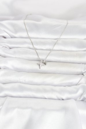 hediyelik Pirinç Gümüş Renk Minimal Kutup Yıldızı Model Kadın Kolye