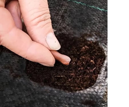 hediyelik Yabani Ot Bariyer Matı