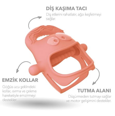 hediyelik Diş Kaşıyıcı Somon