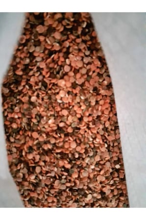 15 KG KIRMIZI MERCİMEK YEŞİL MERCİMEK KARIŞIK