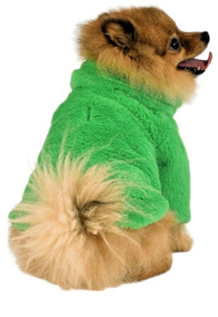 Gedyco Toscano Yeşil Küçük Irk Köpek Peluş Kaban (2,5 kg-8 kg arasına uygun)