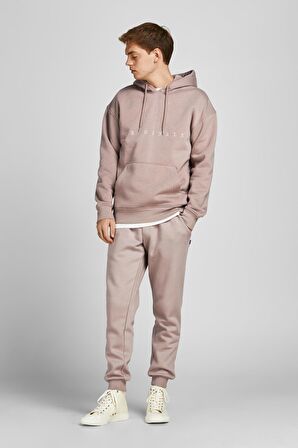 Jack & Jones Erkek Copenhagen Kapüşonlu Sweatshirt Relaxed Fit Hoodie - 12176864