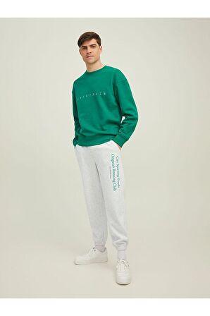 Jack & Jones Erkek Eşofman Altı Sweat Pants 12216198