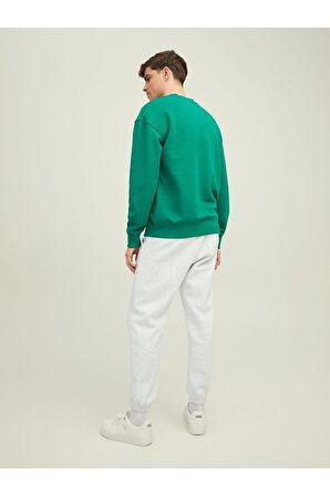 Jack & Jones Erkek Eşofman Altı Sweat Pants 12216198