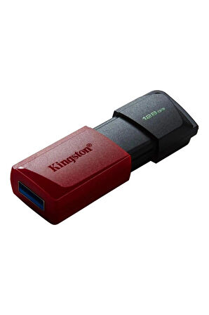 Kingston 128 GB Exodia USB 3.2 Gen1 DTX/128GB USB Bellek