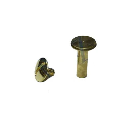 Cilt Menü, Katalog, Kartela Vidası, 13Mm - Sarı, 1 Adet