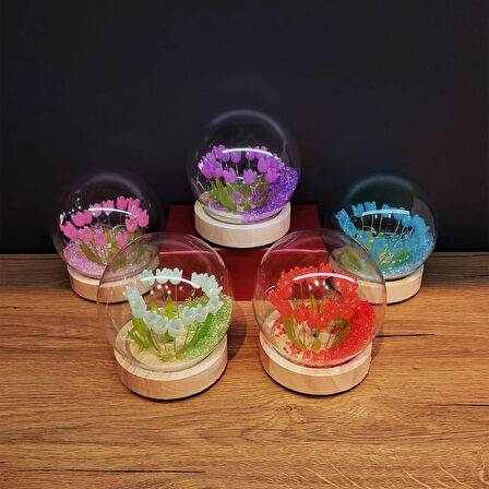 Led Işıklı Lale Cam Fanus