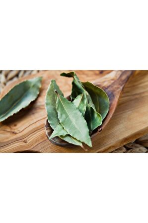 Avokado Yapraklı Siyah Çay (SEYLAN ÇAYI) 100 gram