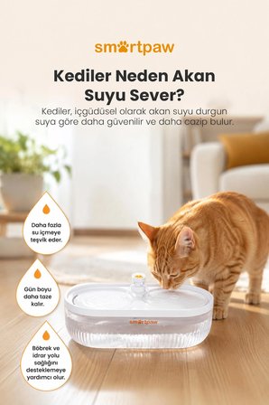 Smartpaw Aqua Lite Otomatik Kedi Su Pınarı (Distribütör Garantili)
