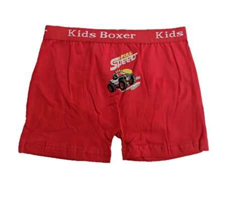 6 lı Paket Sedef Yıldız Erkek Çocuk Likralı Boxer