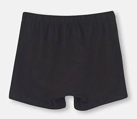 2 li Paket Dagi Erkek Penye Boxer D1220