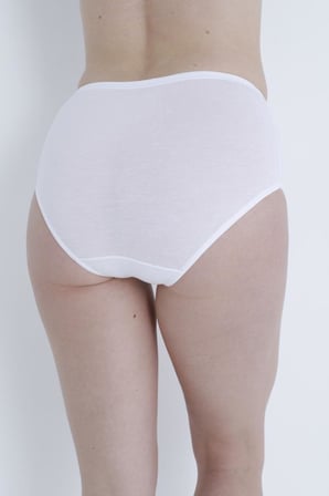 6 Adet Bellızzı Bayan Geniş Kenar Bikini Külot 202