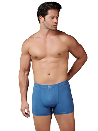 6 Adet Gümüş Erkek Modal Elastan Boxer 7009