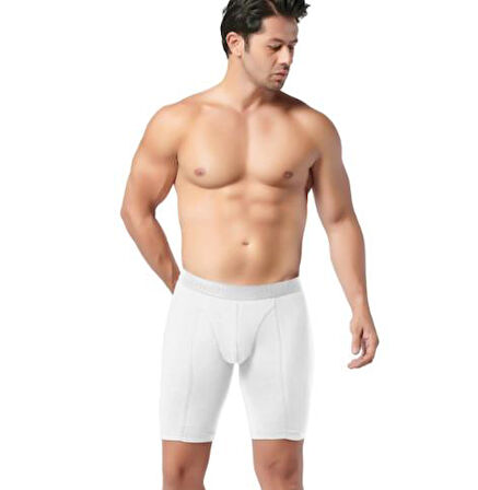 3 Adet Gümüş Erkek Likralı Uzun Boxer 4074