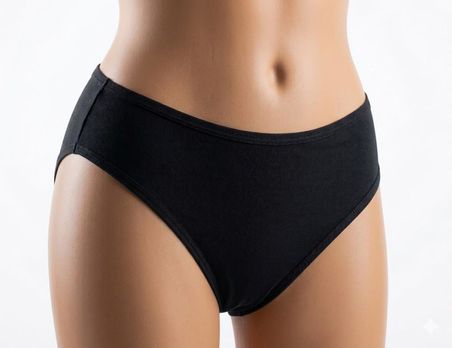 6 Adet İmer Kadın Modal Düz Bikini Külot 124