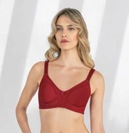 Fabony Kadın Minimizer Toparlayıcı Sütyen 3190