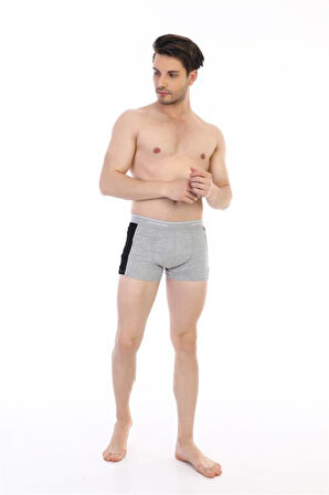 3 Adet Çift Kaplan Erkek Elastanlı Biyeli Boxer 850