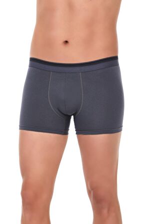 6 Adet Yıldız Erkek Likralı Formen Boxer Short Füme 369