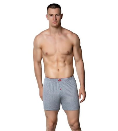 3 lü Paket Gümüş Erkek Penye Boxer Düz Renk Pamuklu Erkek Boxer 4020
