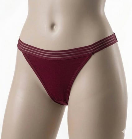 6 Adet İmer Bayan Modal İnce Tül Çizgili Lastik Bikini Külot 4274