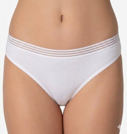 3 Adet İmer Bayan Modal İnce Tül Çizgili Lastik Bikini Külot 4275